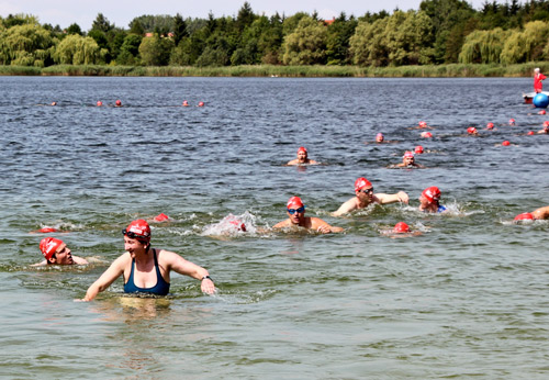 Mitteldeutscher Firmenteam Triathlon am Geiseltal-Hasse-See